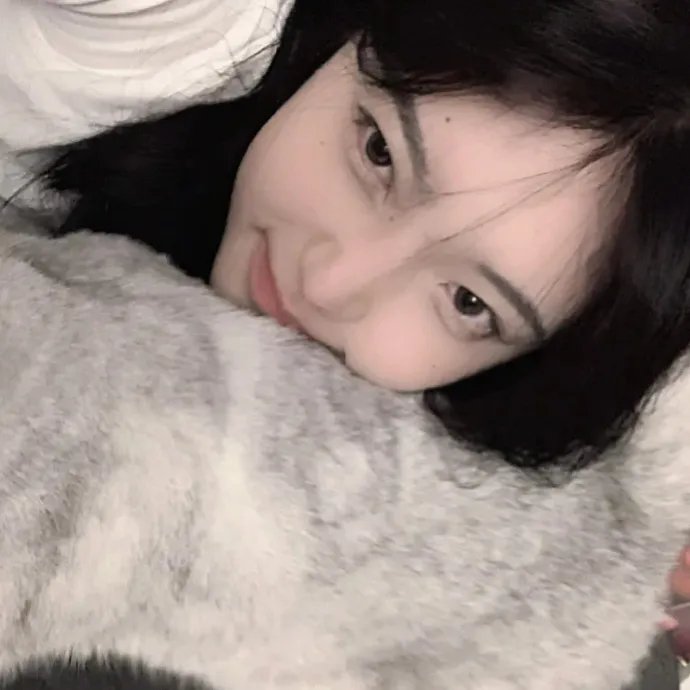 看到他们就会明白免费在线观看